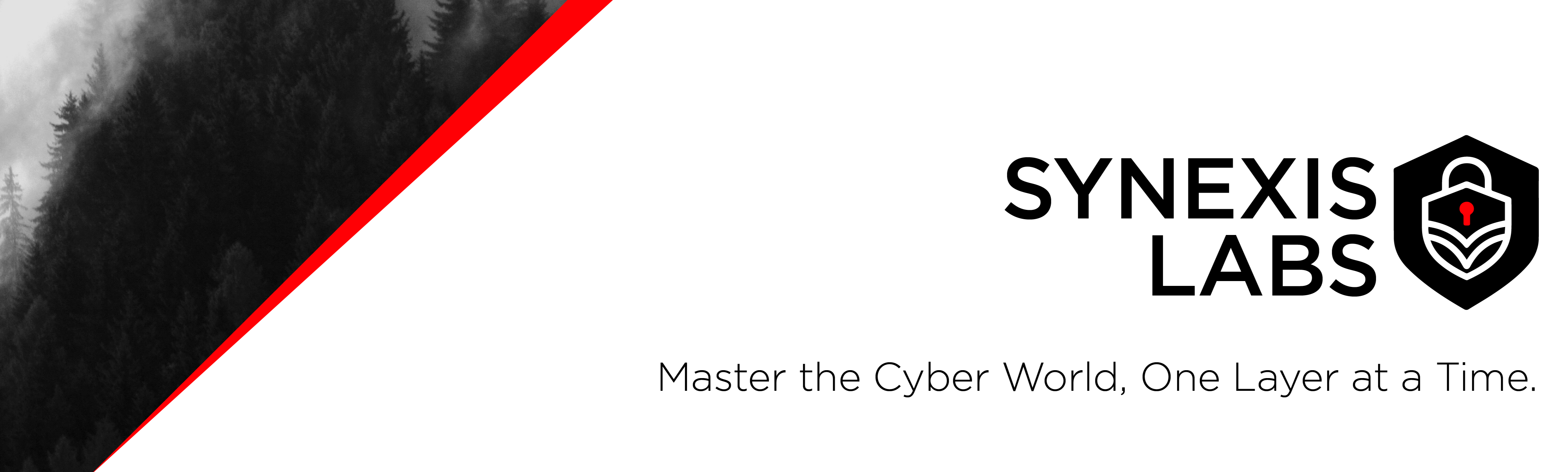 Synexis Labs